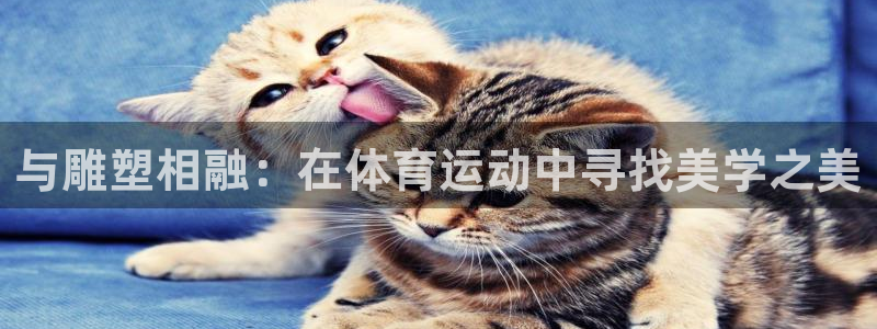 ug环球官网：与雕塑相融：在体育运动中寻找美学之美