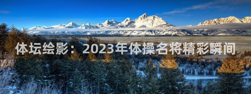 ug环球官网注册：体坛绘影：2023年体操名将精彩瞬间
