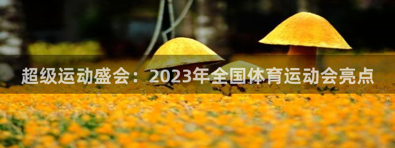 ug环球官网：超级运动盛会：2023年全国体育运动会亮点
