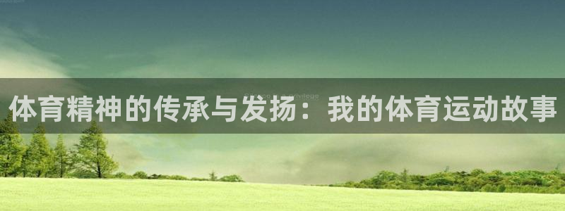 ug环球官网登录入口：体育精神的传承与发扬：我的体育运动故事