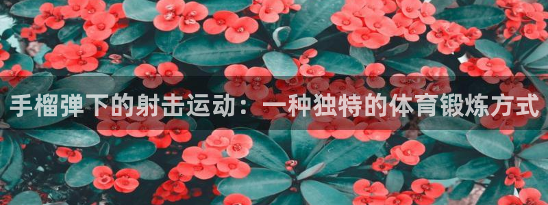 ug环球官网登录入口：手榴弹下的射击运动：一种独特的体育锻炼方式