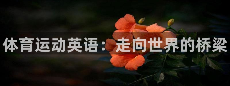 菲律宾ug环球官网：体育运动英语：走向世界的桥梁