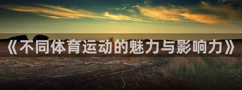 菲律宾ug环球官网：《不同体育运动的魅力与影响力》