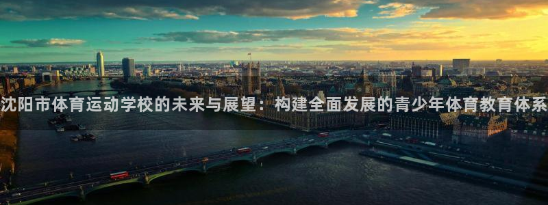 ug环球官网注册：沈阳市体育运动学校的未来与展望：构建全面发展的青少年体育教育体系