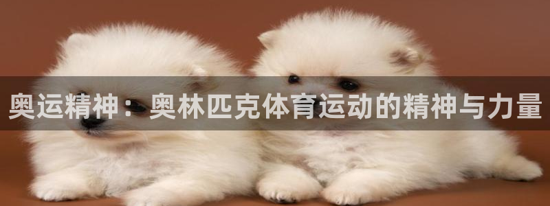 ug环球官网：奥运精神：奥林匹克体育运动的精神与力量