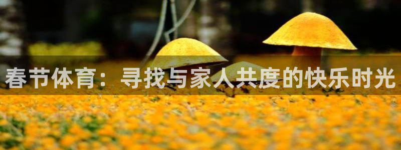 ug环球官网登录入口：春节体育：寻找与家人共度的快乐时光