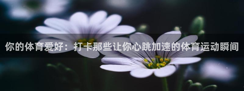 ug环球官网：你的体育爱好：打卡那些让你心跳加速的体育运动瞬间